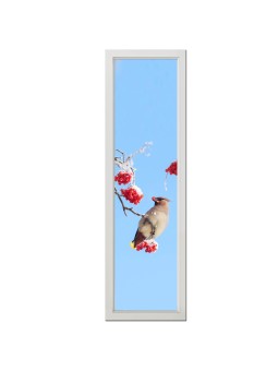 Fenetre Virtuelle (120 x 30 cm) oiseau
